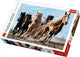 PUZZLE TREFL 1000 CAI LA GALOP