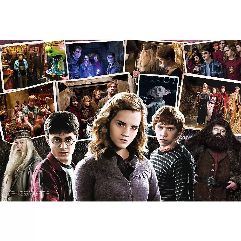 PUZZLE TREFL 160 HARRY POTTER